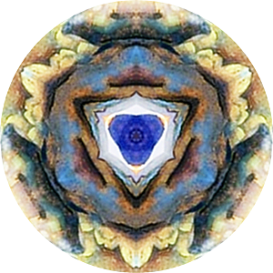 bushbluewater