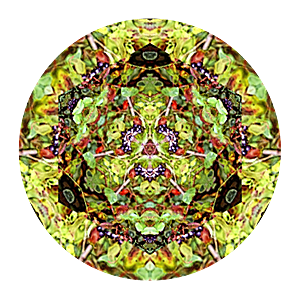 Patterned House