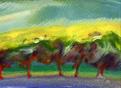 colorado_wind