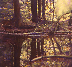 enchanted