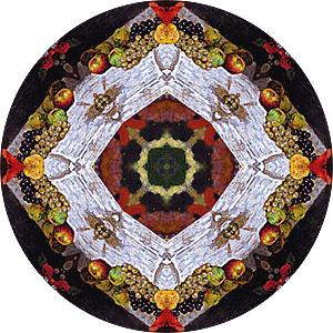 Reflection in Probability