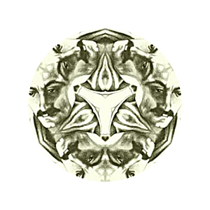 Symmetry