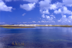 horizon
