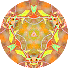 Symmetry