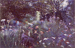 my_sister_garden