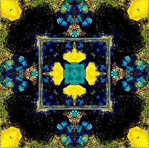 Reflection in Probability