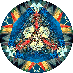 Reflection in Probability