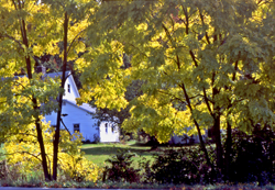 Patterned House