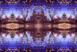 Reflection in Probability
