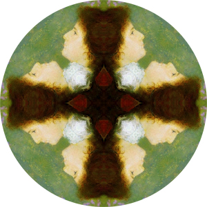 Symmetry